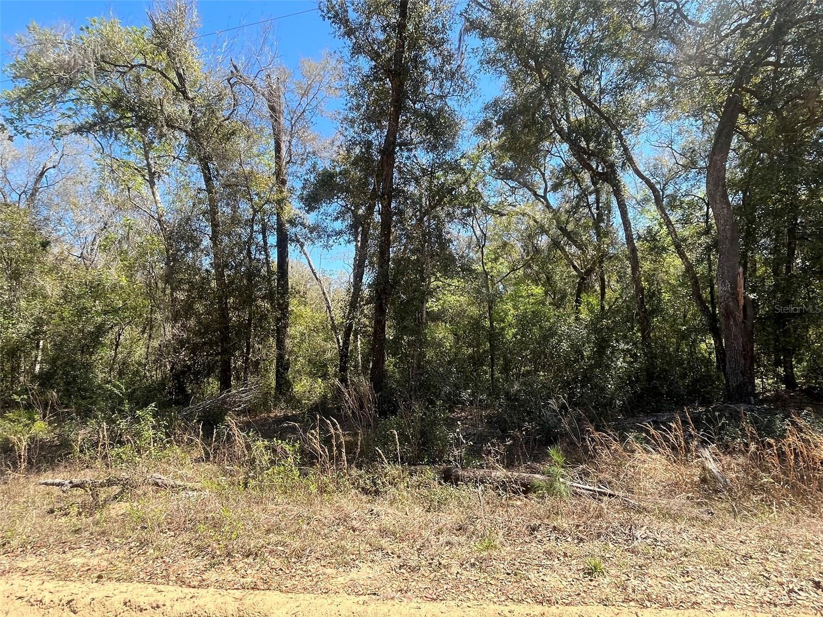 Photo of Listing #OK225020