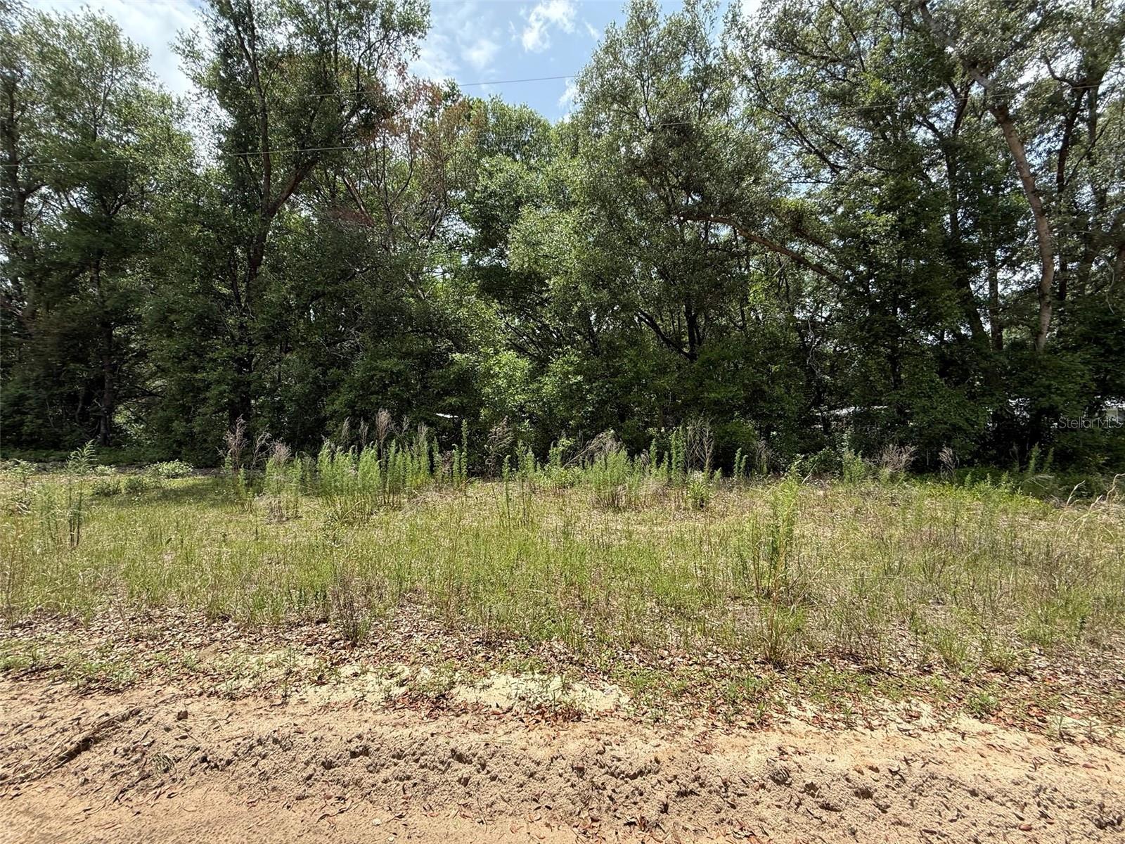 Photo of Listing #OK225254