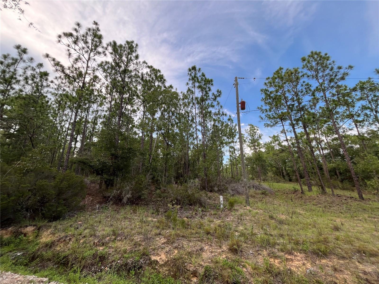 Photo of Listing #OK225314