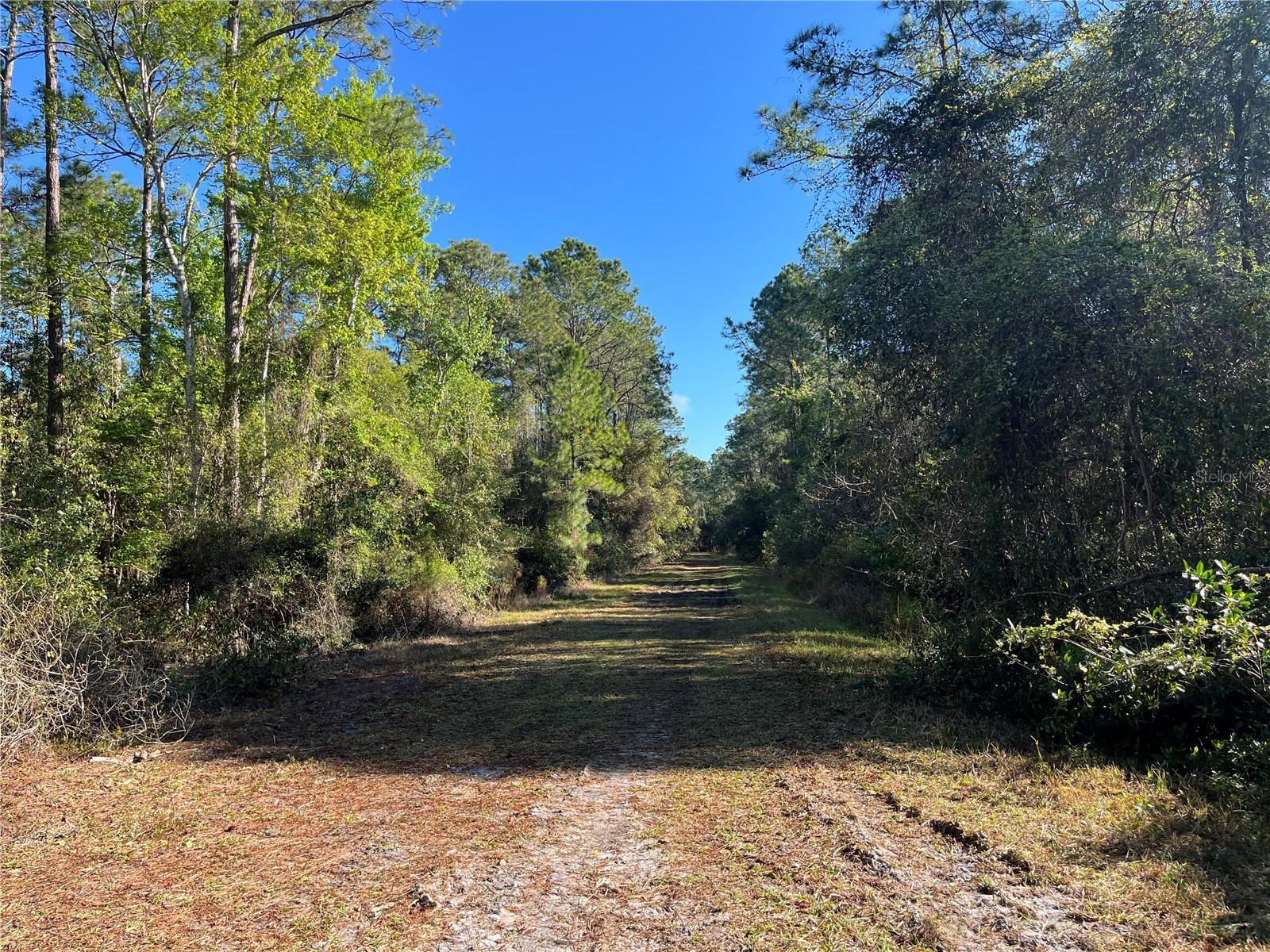 Photo of Listing #OK225378