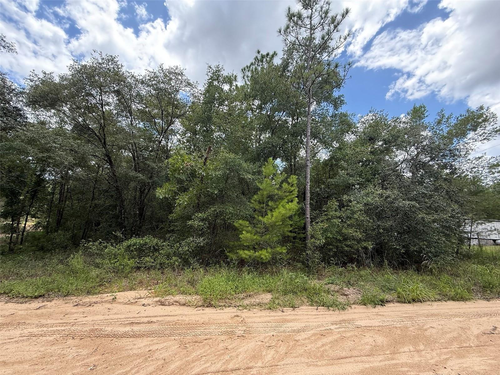 Photo of Listing #OK225411