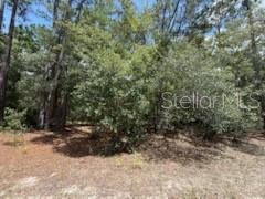 Photo of Listing #OK225452