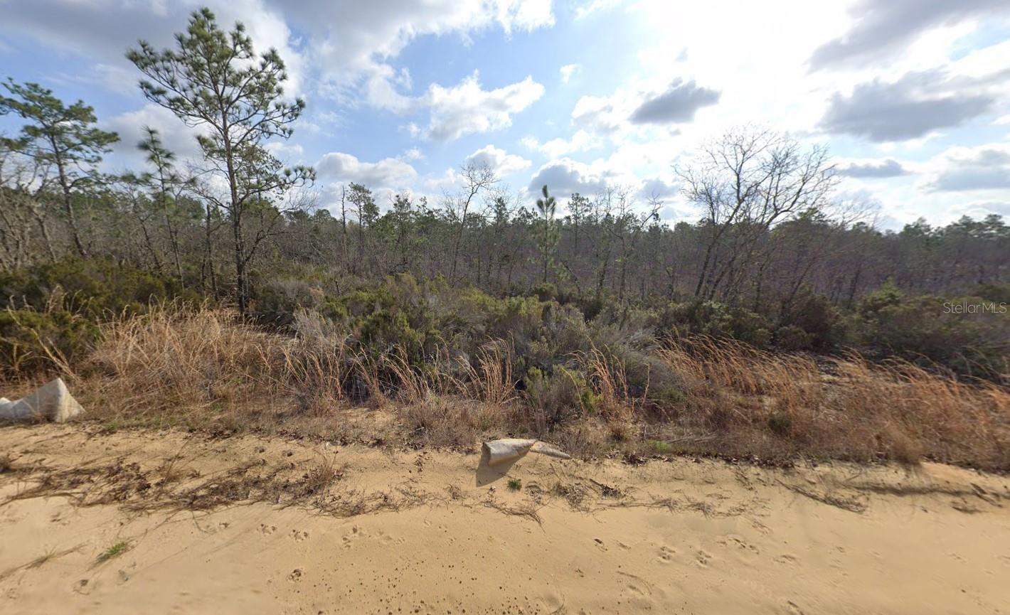 Photo of Listing #OK225597