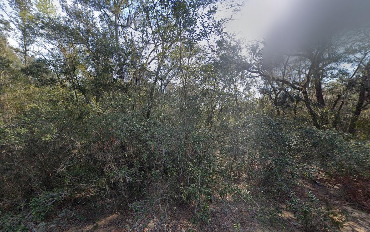 Photo of Listing #OK225598