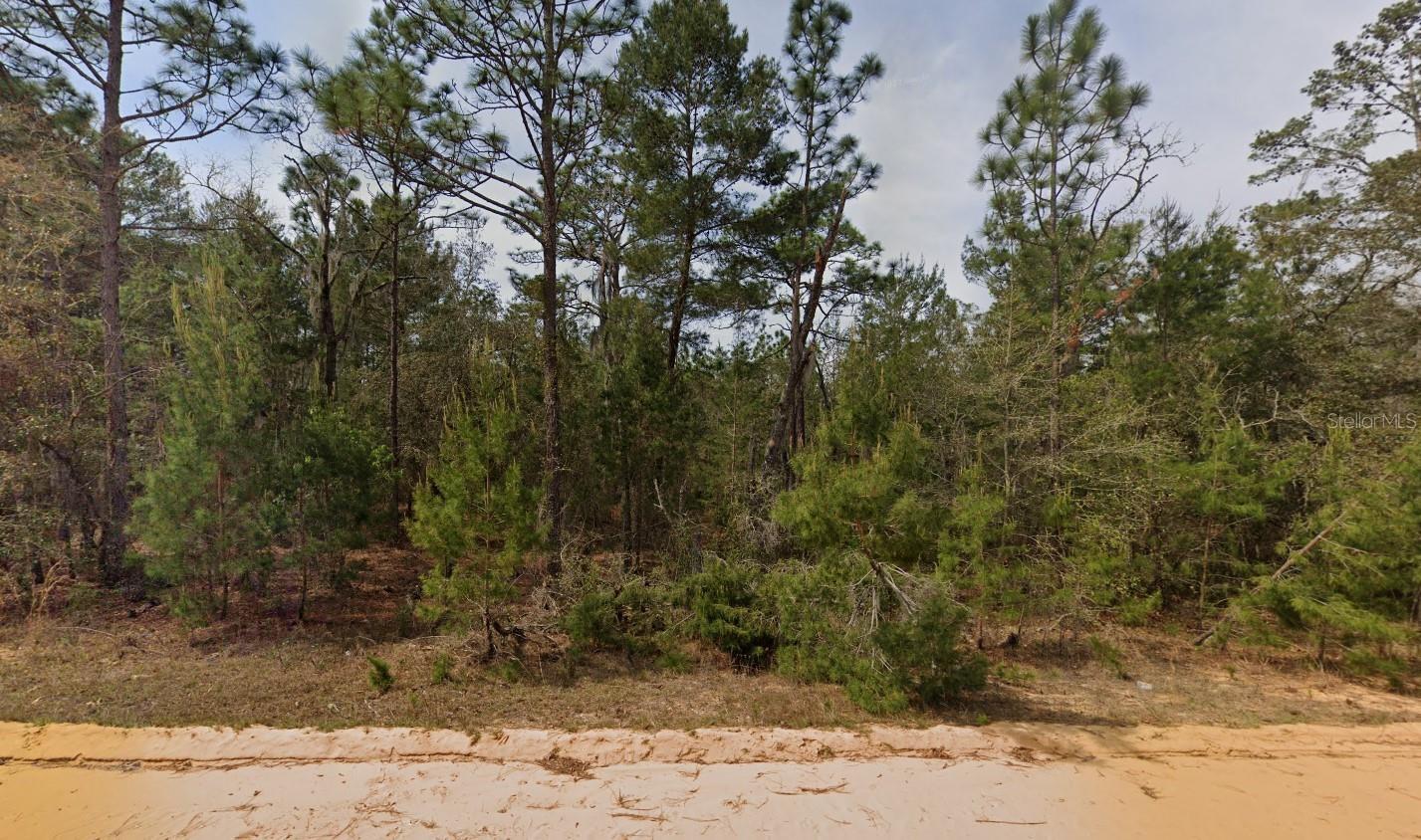 Photo of Listing #OK225601