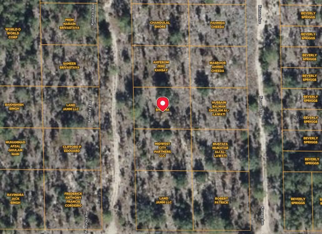 Photo of Listing #OK225663