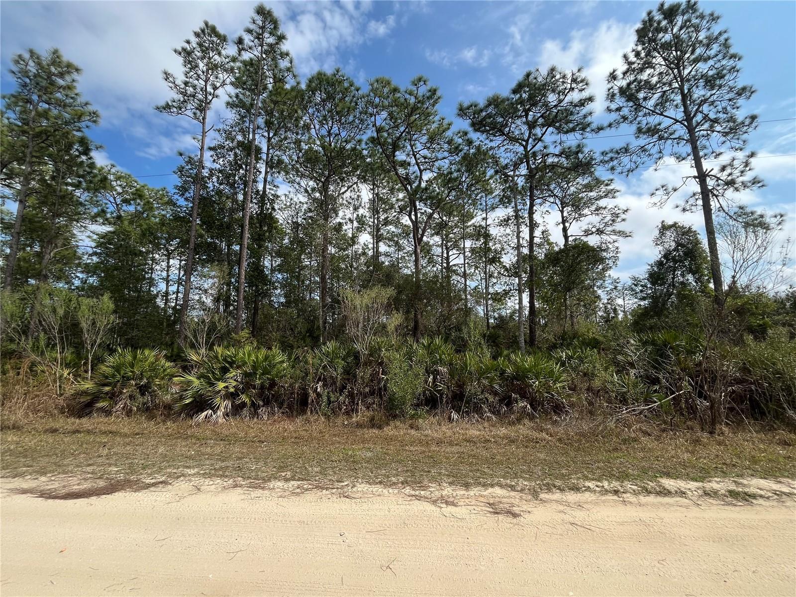 Photo of Listing #OK225722