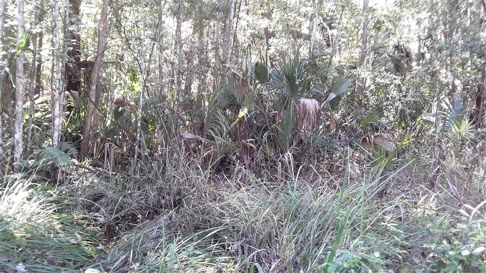 Photo of Listing #OM644279