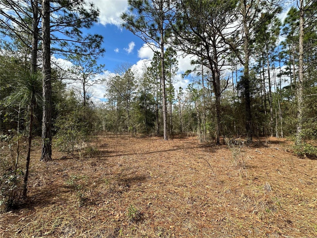 21491 Se 73rd Place, MORRISTON FL MORRISTON Lots/Land Homes For Sale