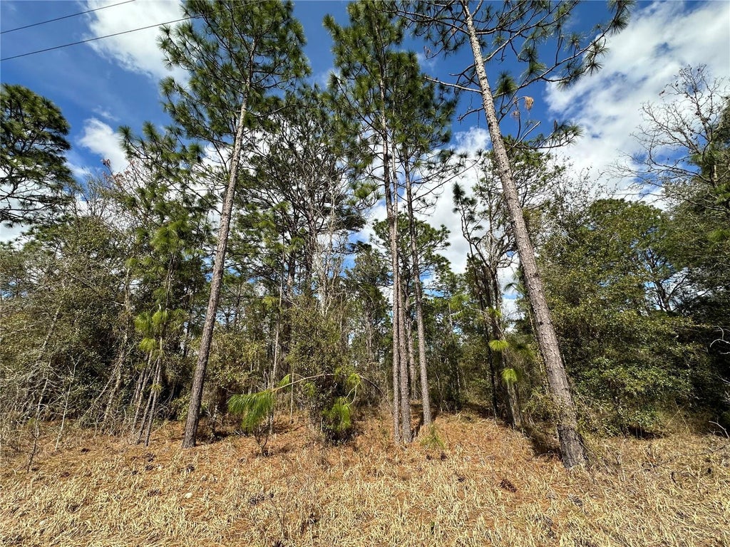 21491 Se 73rd Place, MORRISTON FL MORRISTON Lots/Land Homes For Sale