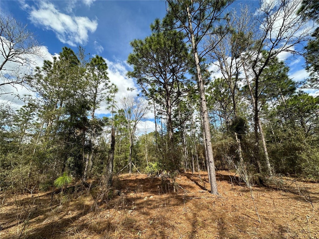 21491 Se 73rd Place, MORRISTON FL MORRISTON Lots/Land Homes For Sale
