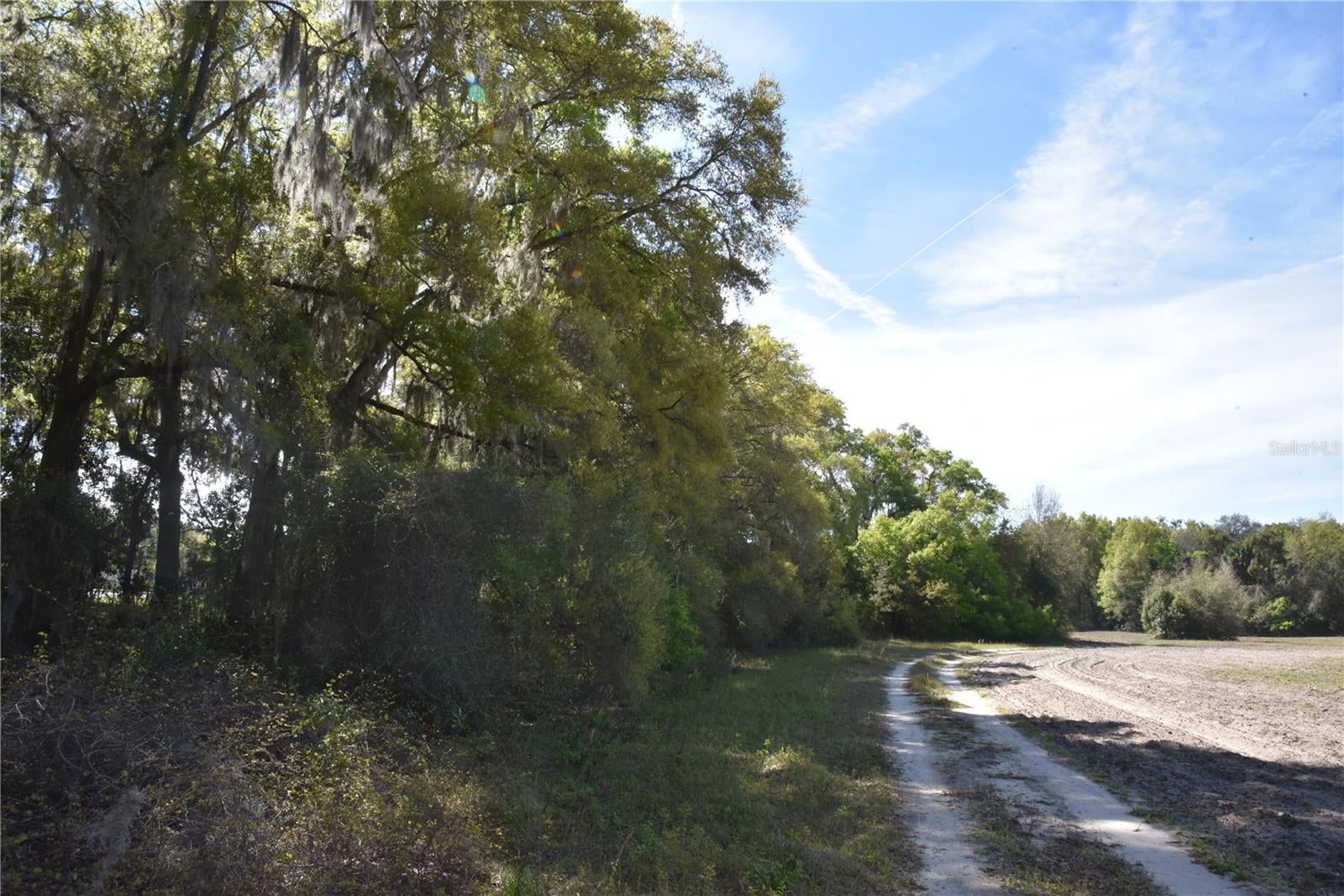 Nw 155Th St, REDDICK, FL 32686 OM674486 | NV Realty Group