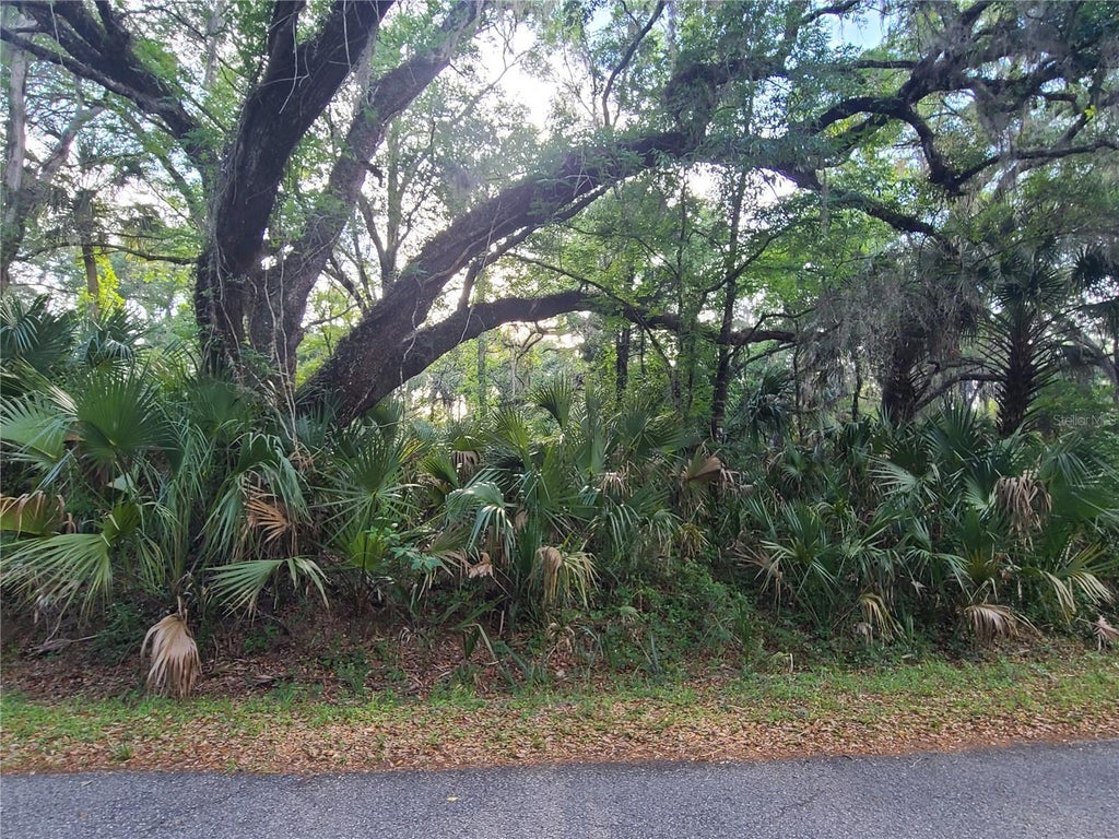 7912 North Bitterroot Drive, CRYSTAL RIVER FL CRYSTAL RIVER Lots/Land