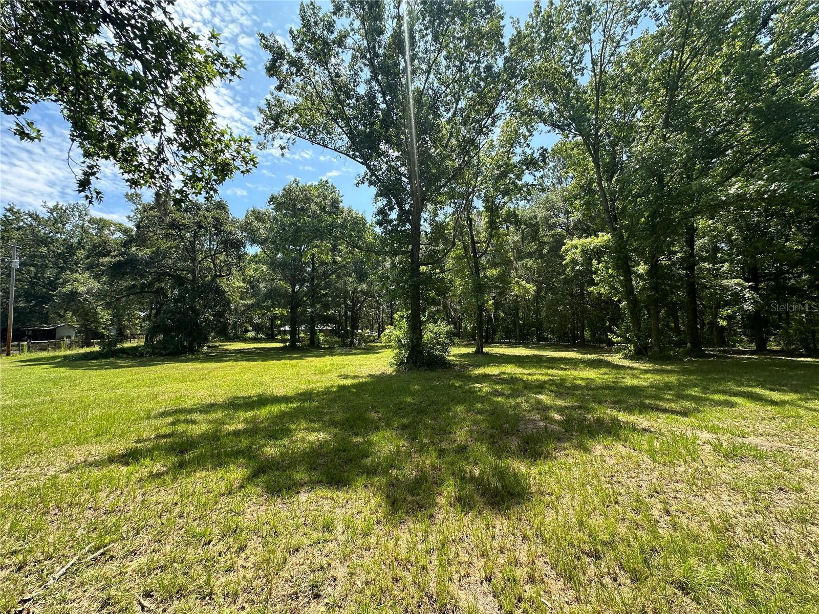Photo of Listing #OM679583