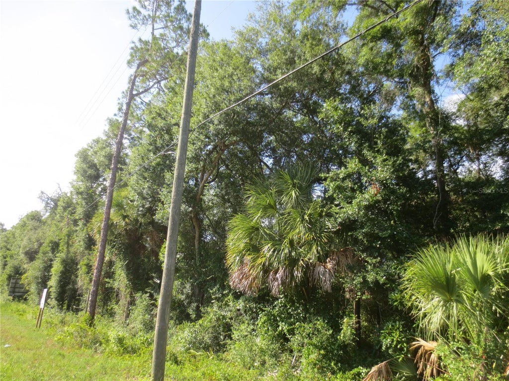 14655 Ne 145th Ave Road, SILVER SPRINGS FL SILVER SPRINGS Lots/Land