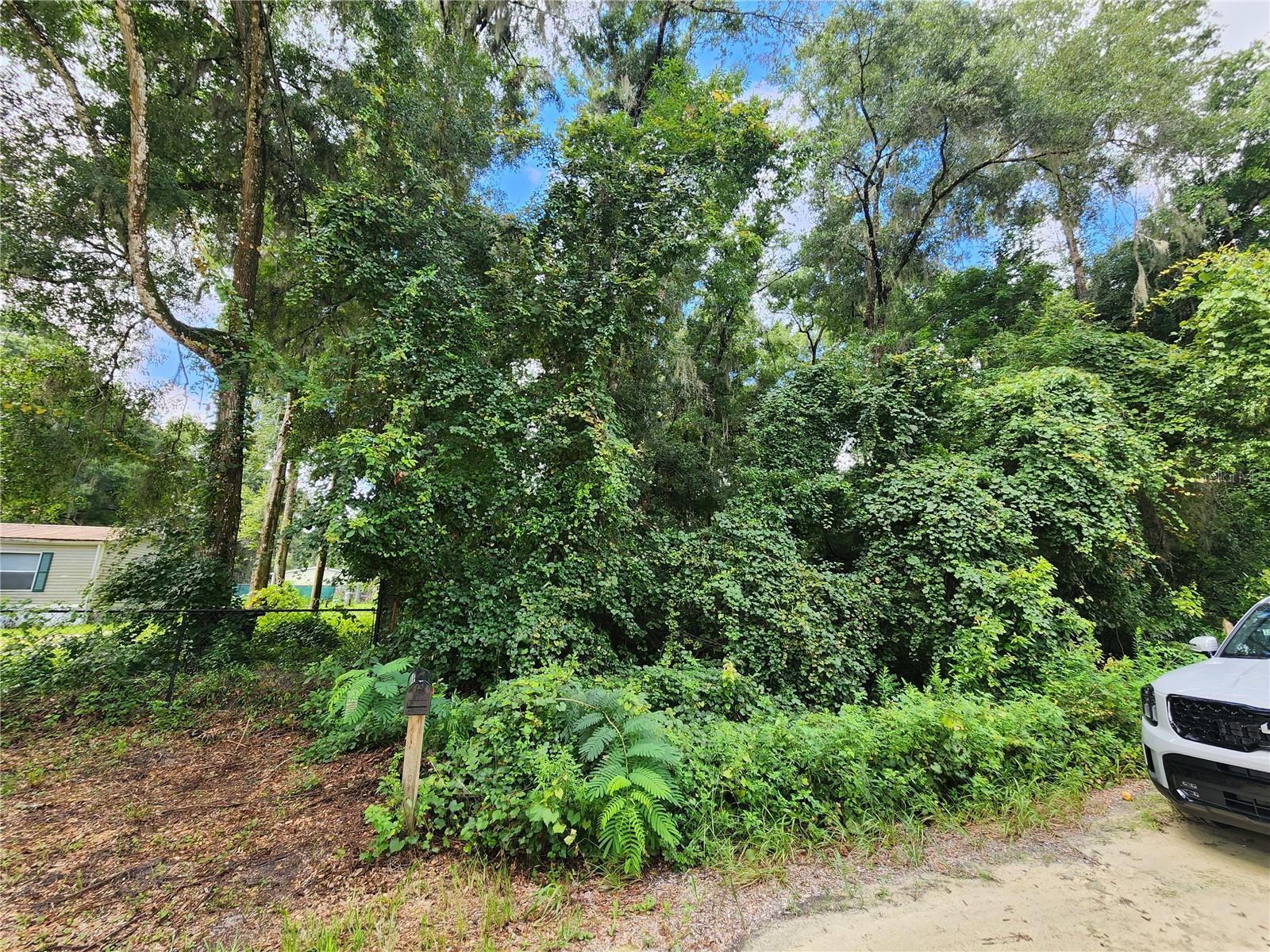 Photo of Listing #OM683193