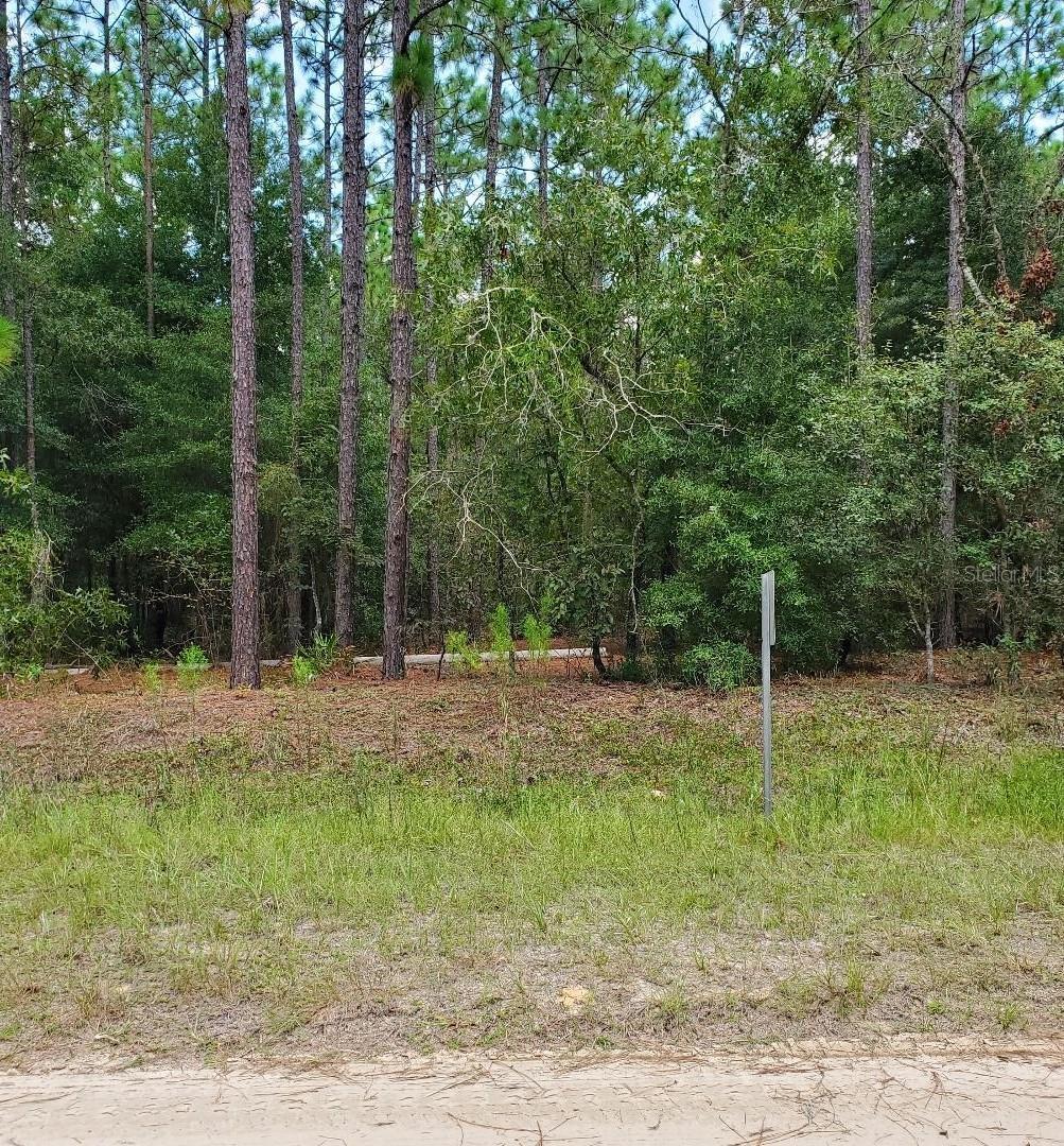 Photo of Listing #OM684207
