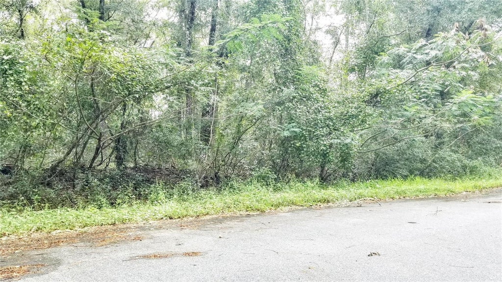 9775 North Dearing Loop, CITRUS SPRINGS FL CITRUS SPRINGS Lots/Land Homes For Sale