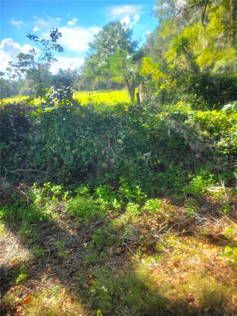 Photo of Listing #OM687209