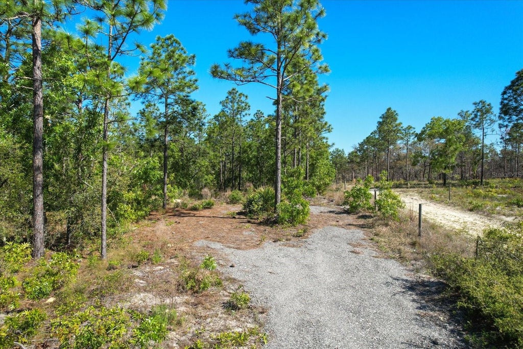 12090 Raschke Run, WEEKI WACHEE FL WEEKI WACHEE Lots/Land Homes For Sale