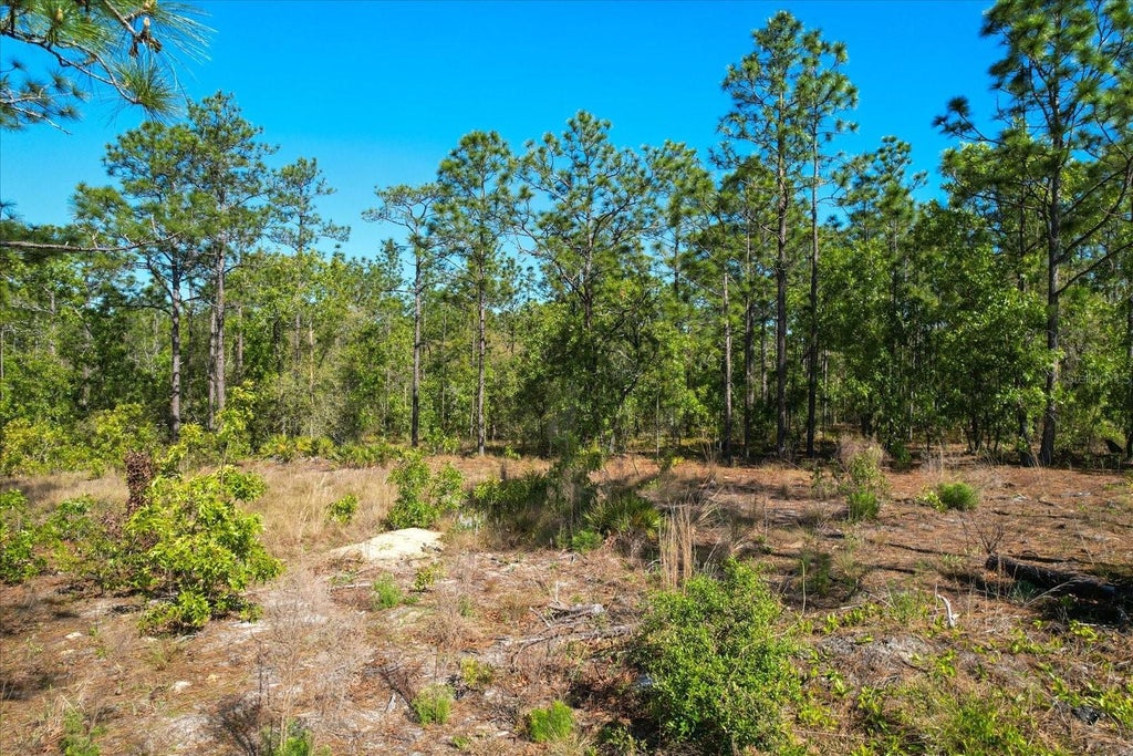 12090 Raschke Run, WEEKI WACHEE FL WEEKI WACHEE Lots/Land Homes For Sale