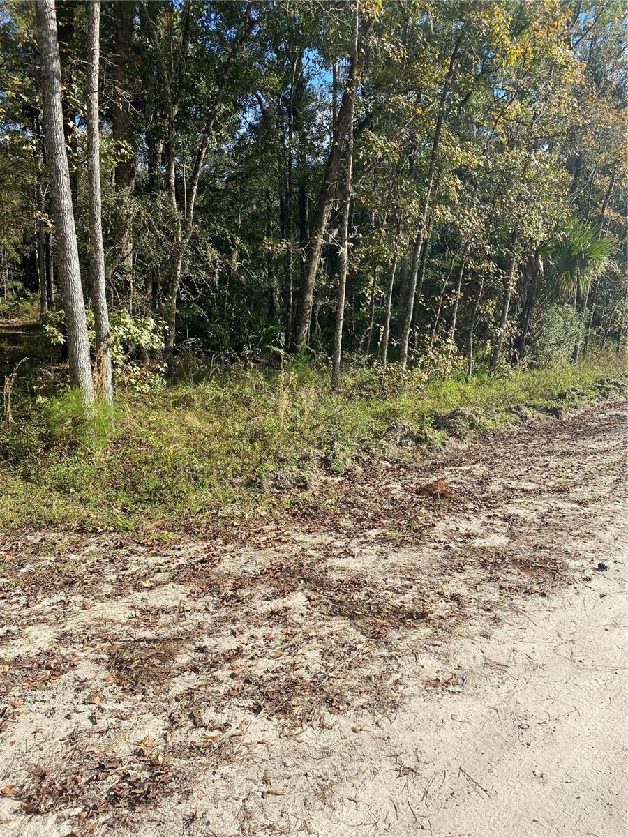 Photo of Listing #OM689885