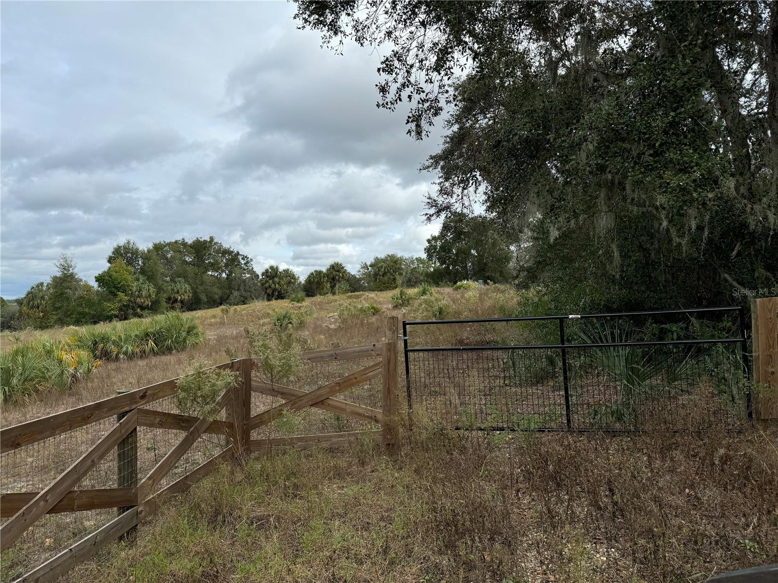 Photo of Listing #OM690448