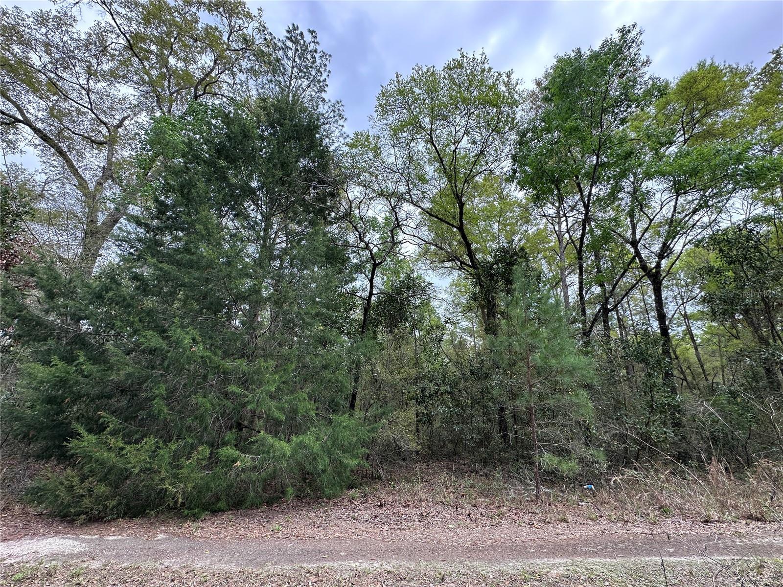 Photo of Listing #OM695351