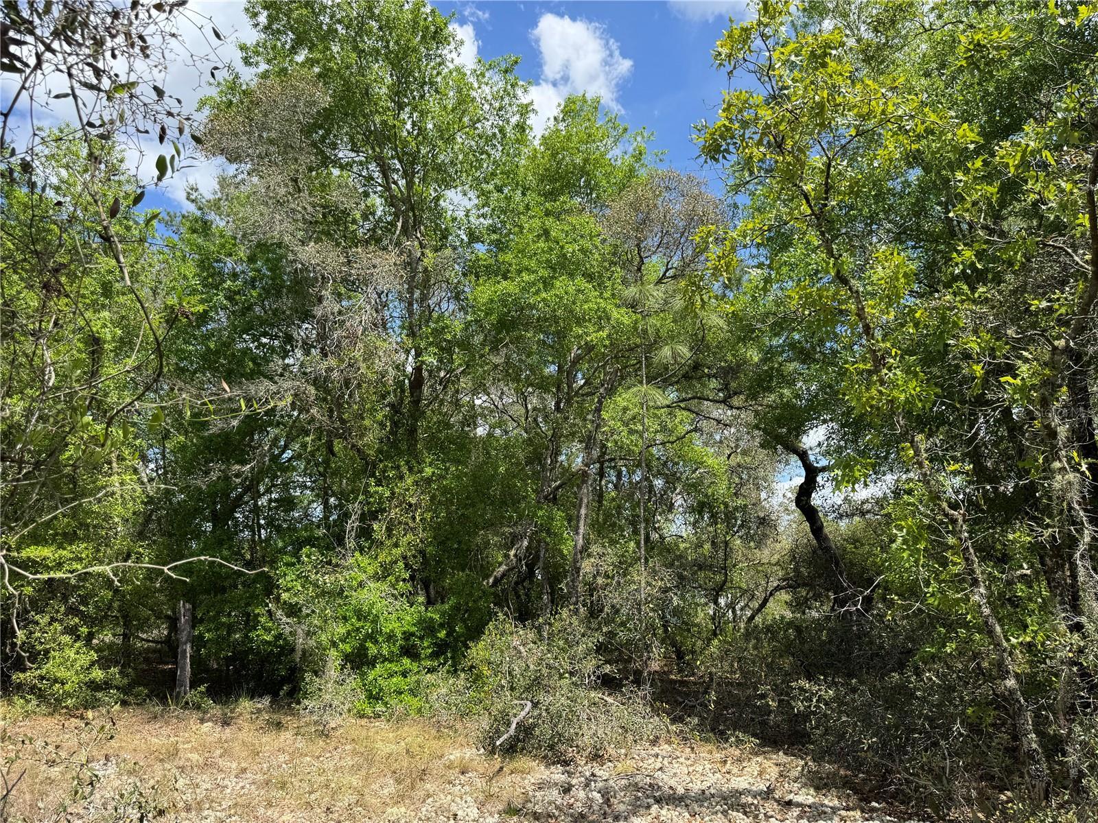 Photo of Listing #OM698919