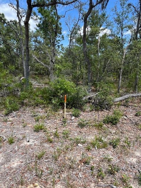 Photo of Listing #OM701468