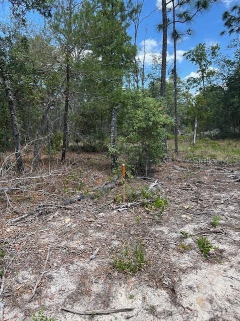 Photo of Listing #OM701479