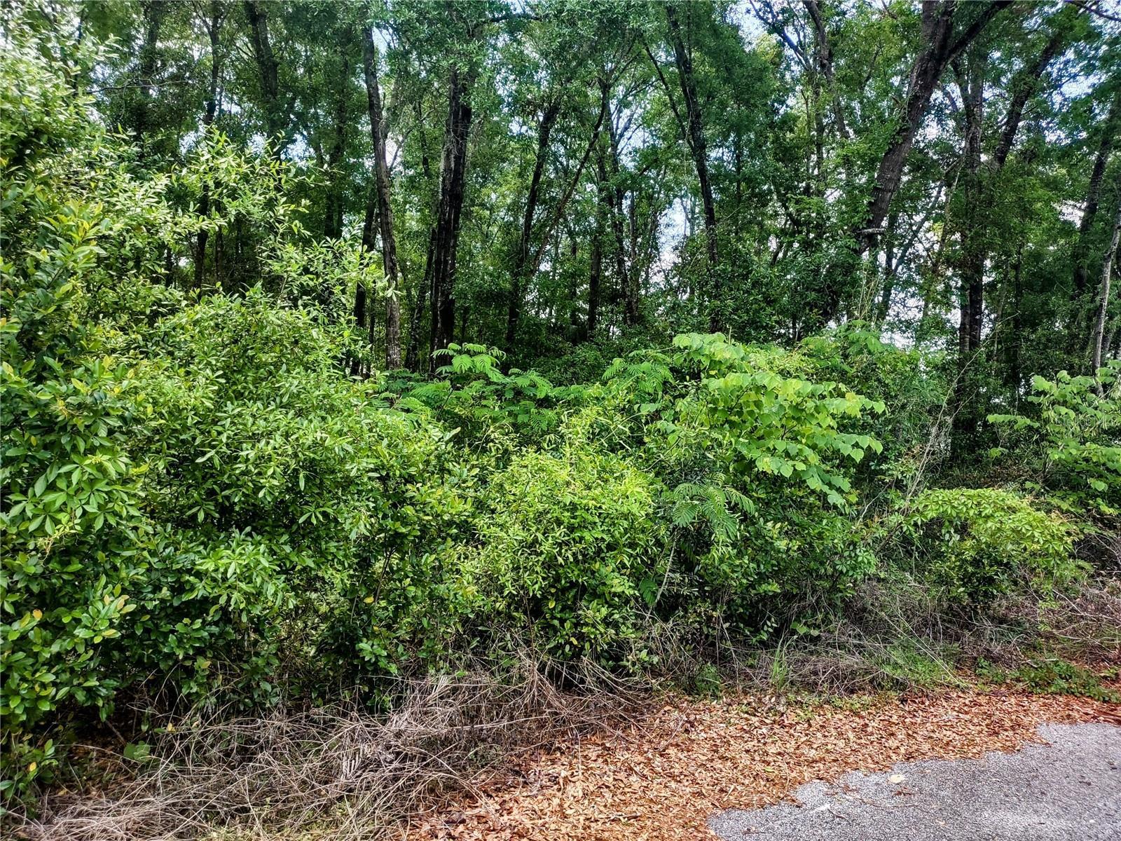 Photo of Listing #OM704971