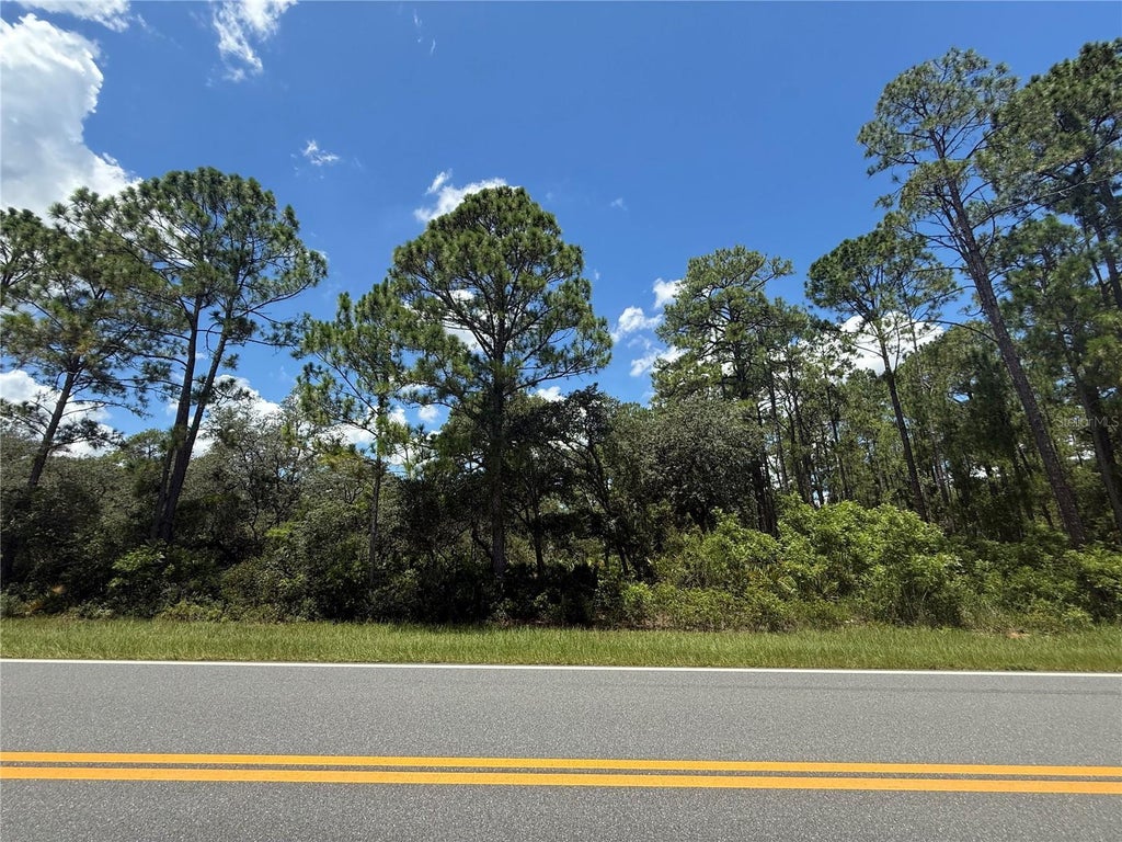 Fisher Rd OCKLAWAHA Property Listing - Mfrom706302 2 D0c86622656541cd86cfee192b94b047 L