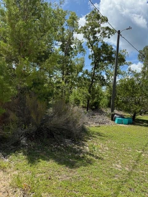 Photo of Listing #OM706588