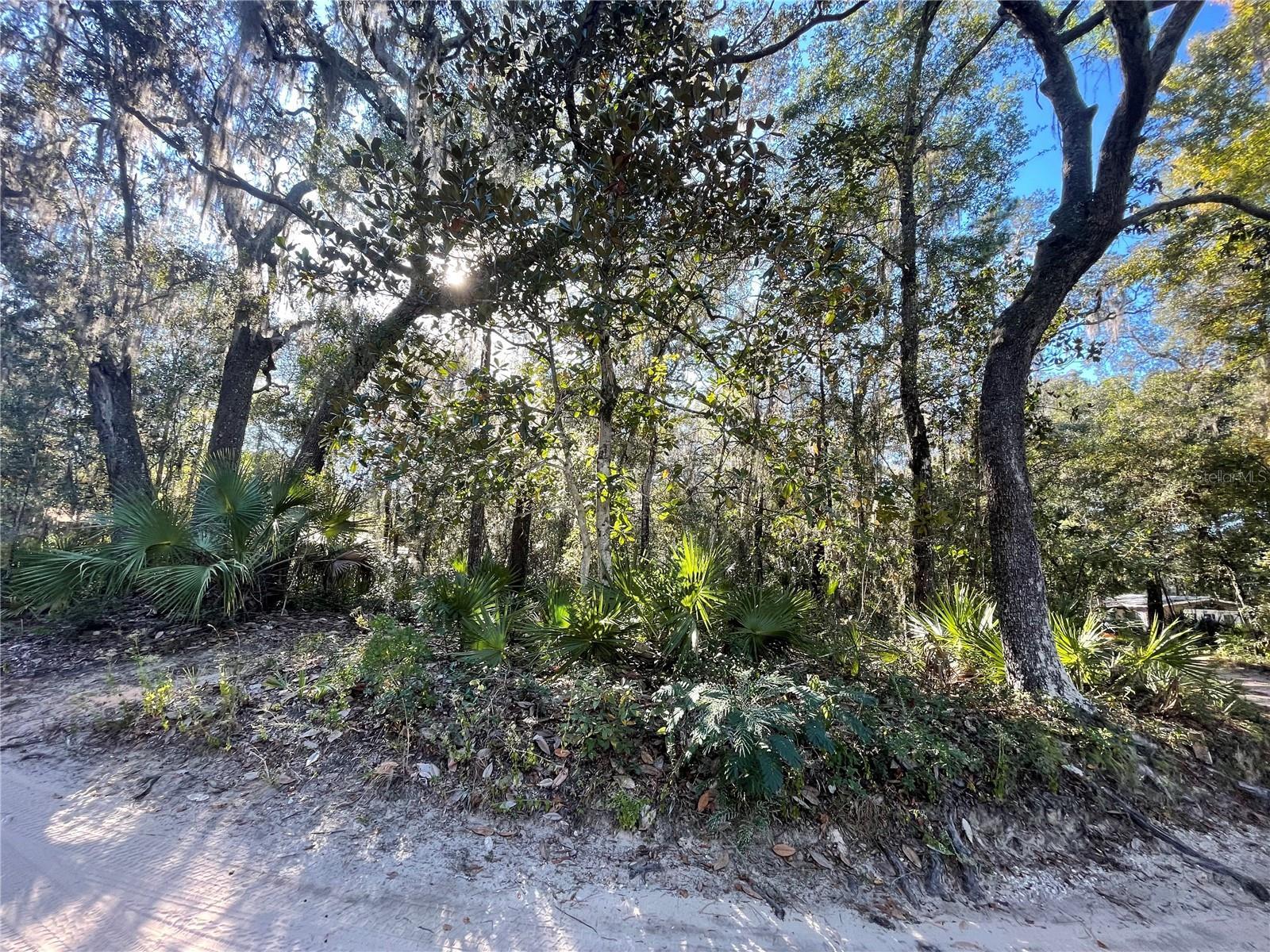 Photo of Listing #OM710532