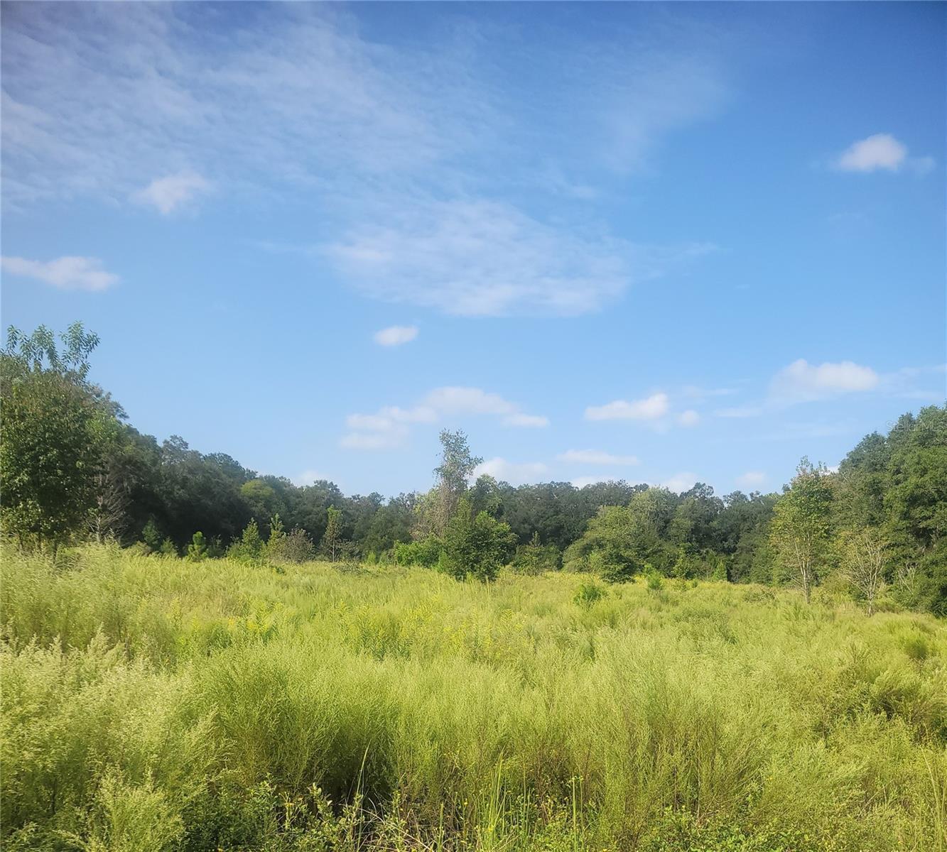 Photo of Listing #OM711366