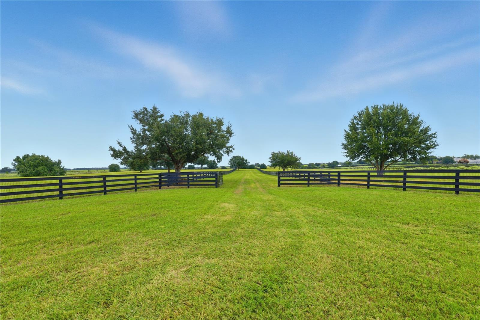 Photo of Listing #OM711883