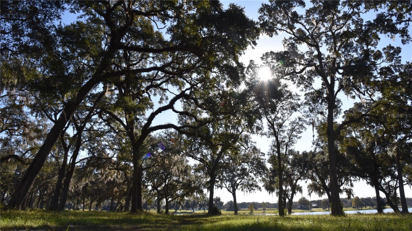 Photo of Listing #OM713548