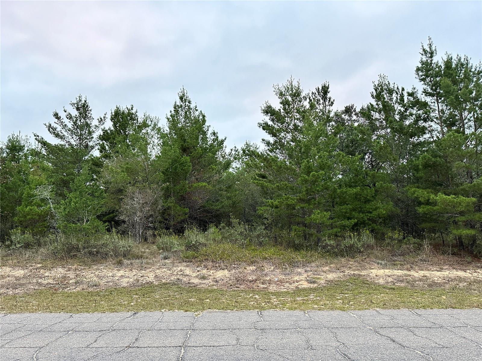 Photo of Listing #OM714581