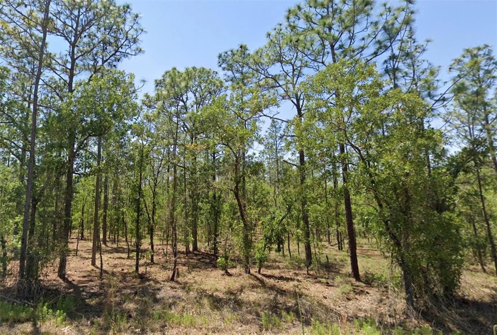 Photo of Listing #OM715332