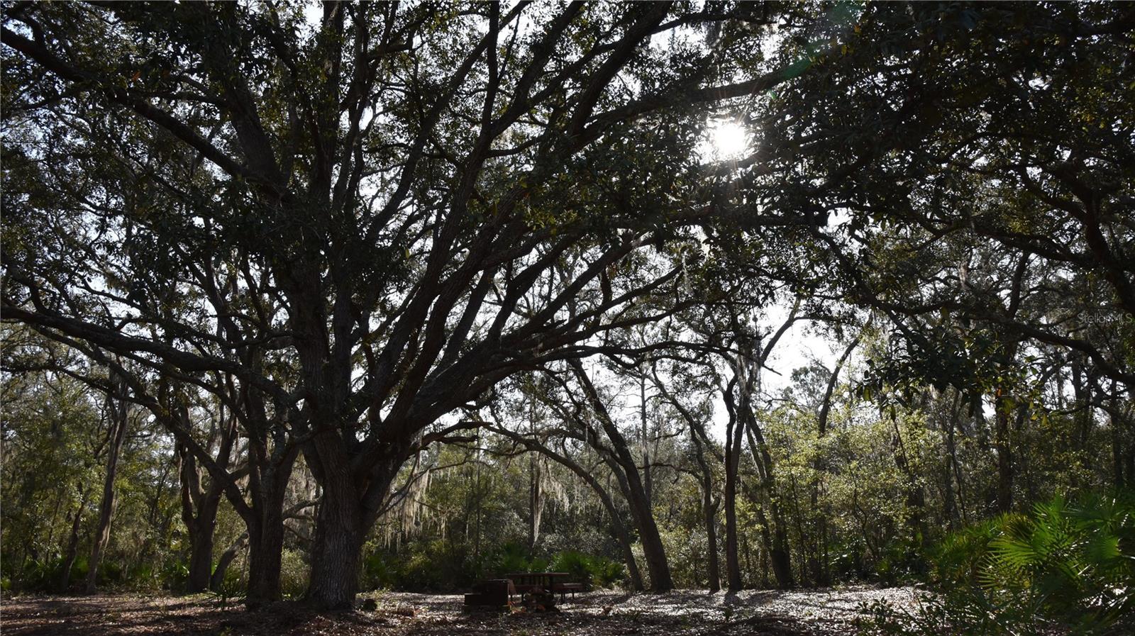 Photo of Listing #OM715398