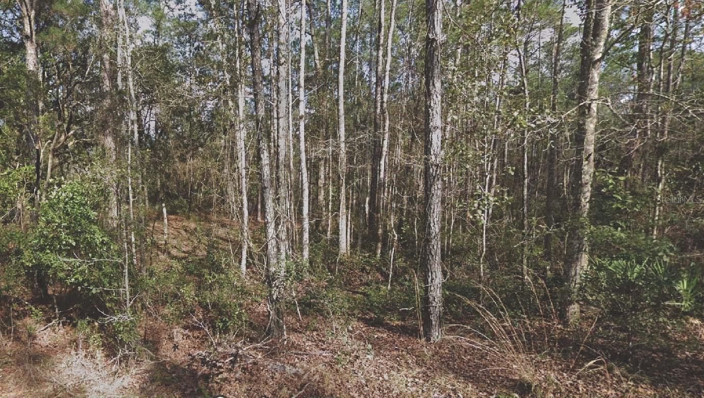 Photo of Listing #OM715764