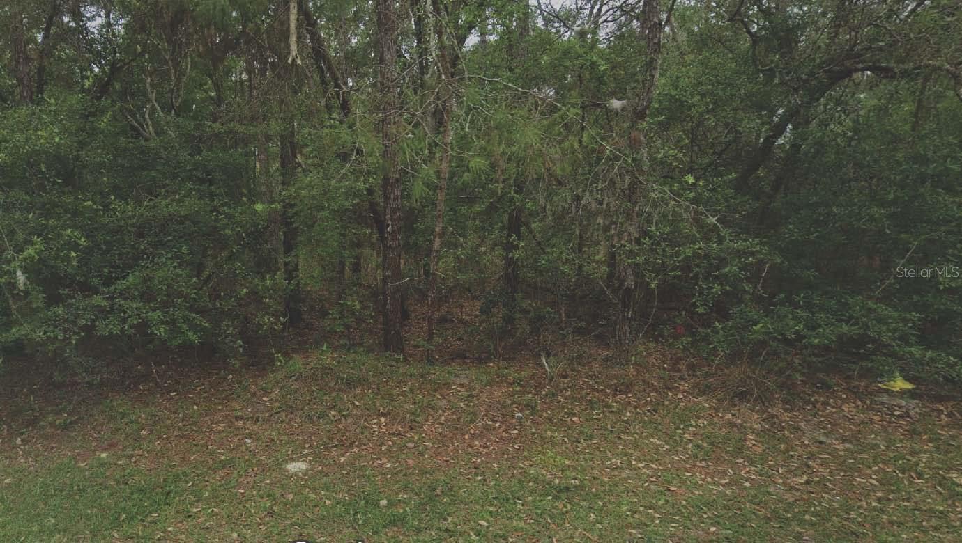 Photo of Listing #OM715765