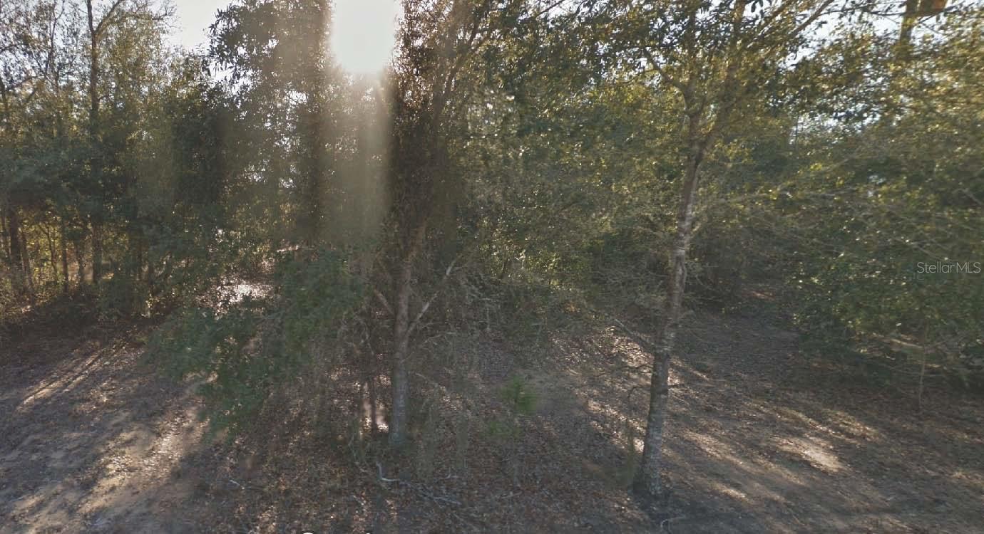 Photo of Listing #OM715771