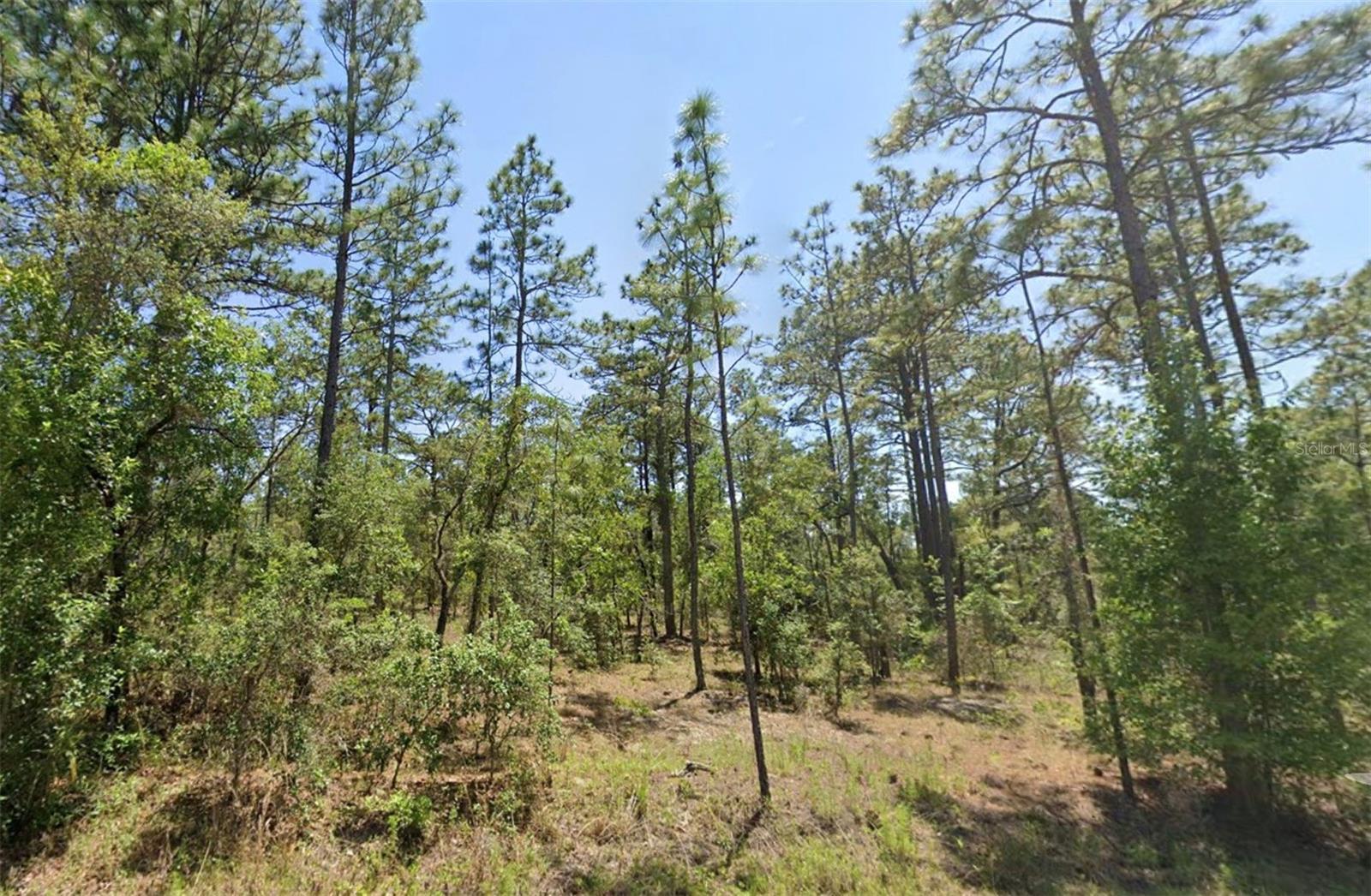 Photo of Listing #OM717152