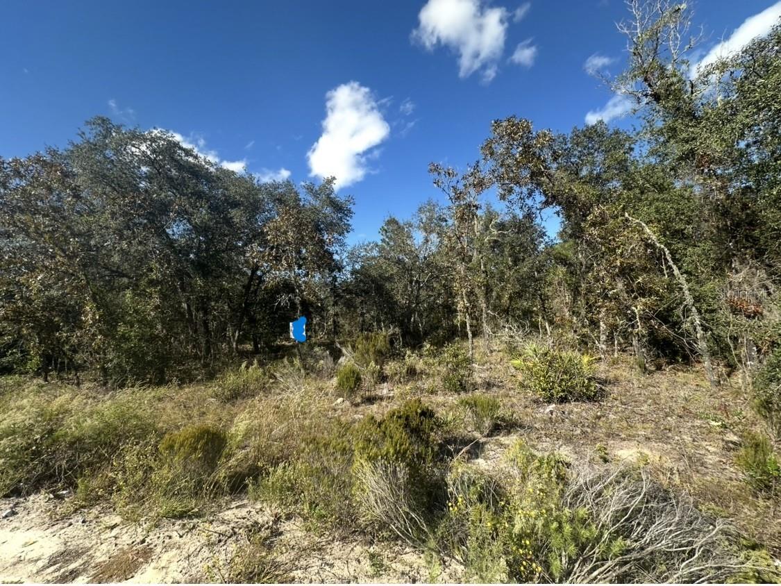 Photo of Listing #OM717873