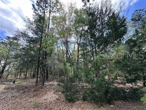 Photo of Listing #OM717917