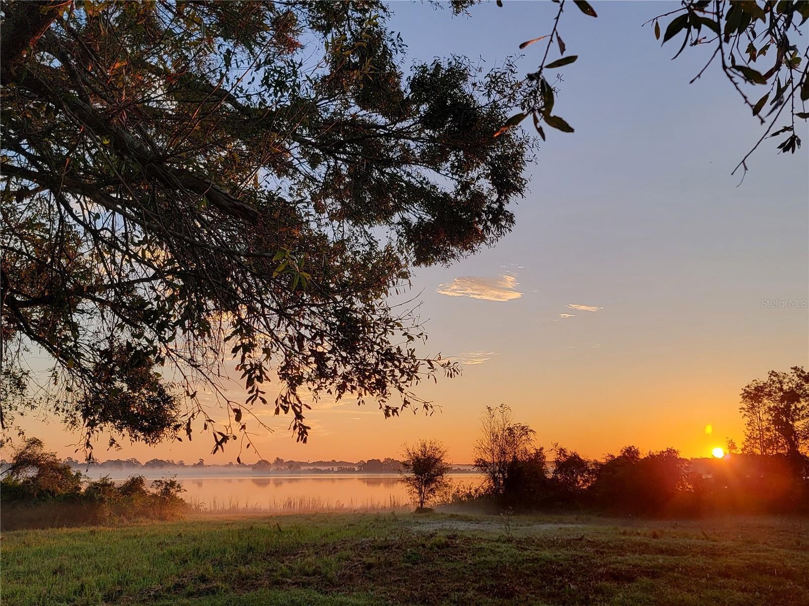 Photo of Listing #P4923689