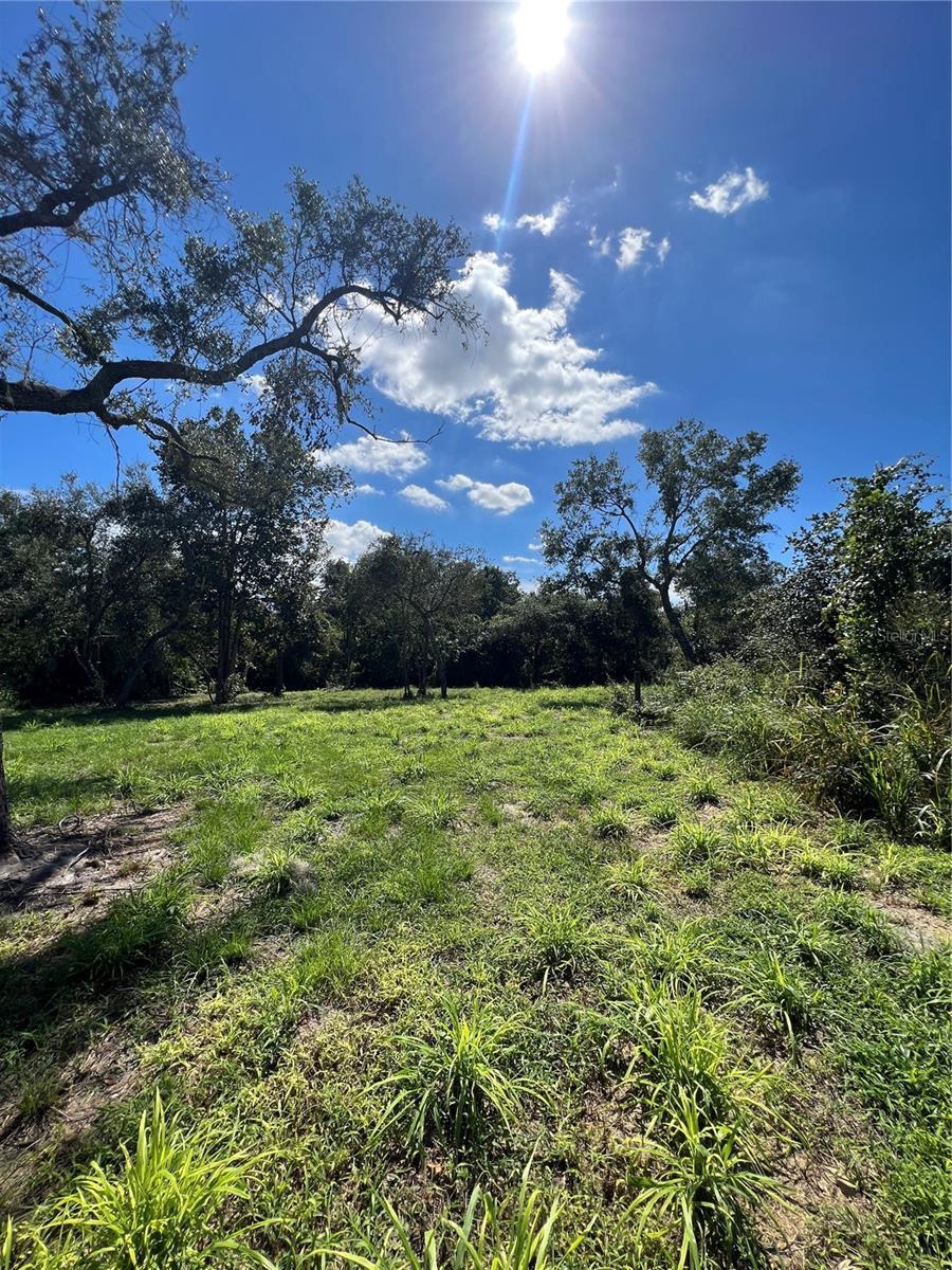 133 South Huntley Drive, LAKE PLACID FL LAKE PLACID Lots/Land Homes