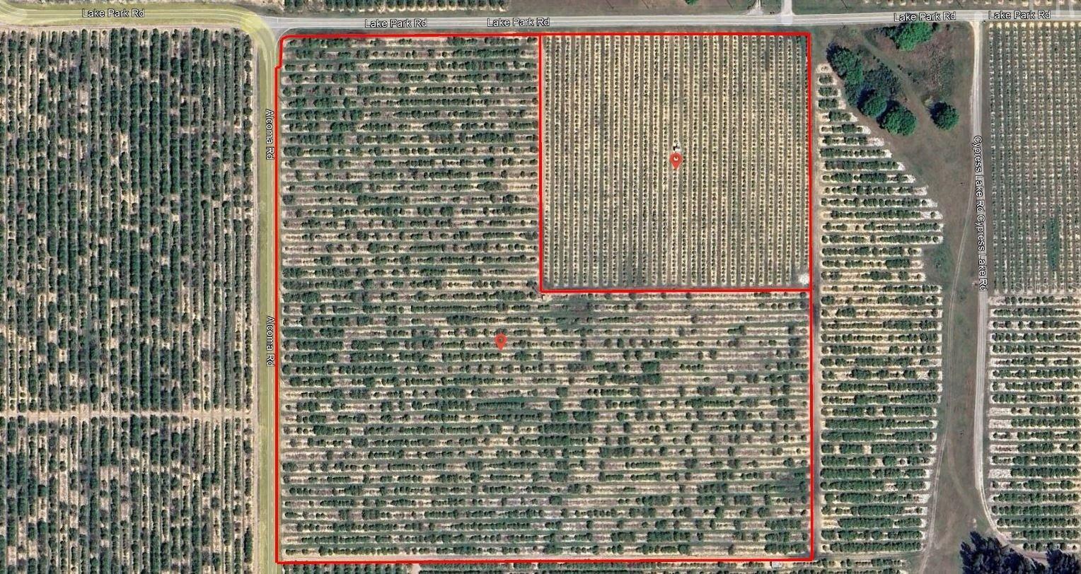 Photo of Listing #P4936025